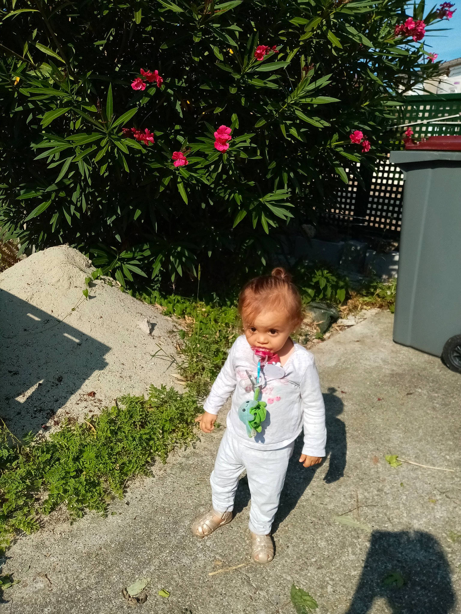 Prudence Bc participe au concours pour gagner de l'argent avec cette photo : asphalt, baby, baby_toddler_clothing, flower, garden, grass, landscape, lawn, leaf, leisure, people_in_nature, person, petal, plant, road_surface, rose, shrub, sidewalk, summer, toddler