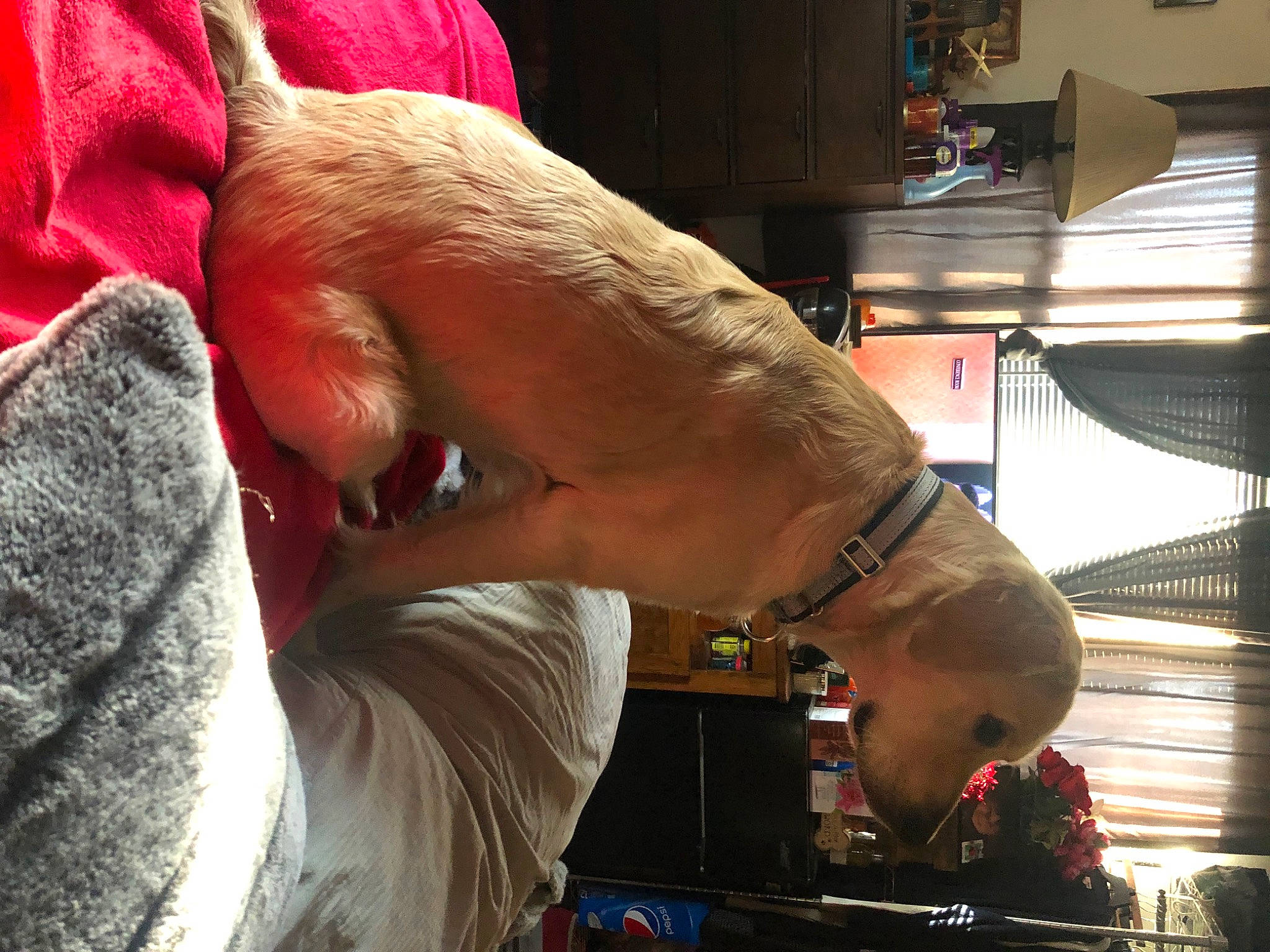 Zeus joined the competition — help win amazing prizes! abdomen, barechested, barefoot, calf, carmine, chest, elbow, finger, flesh, foot, gesture, human_leg, knee, nail, thigh, thumb, toe, trunk, wrinkle, wrist