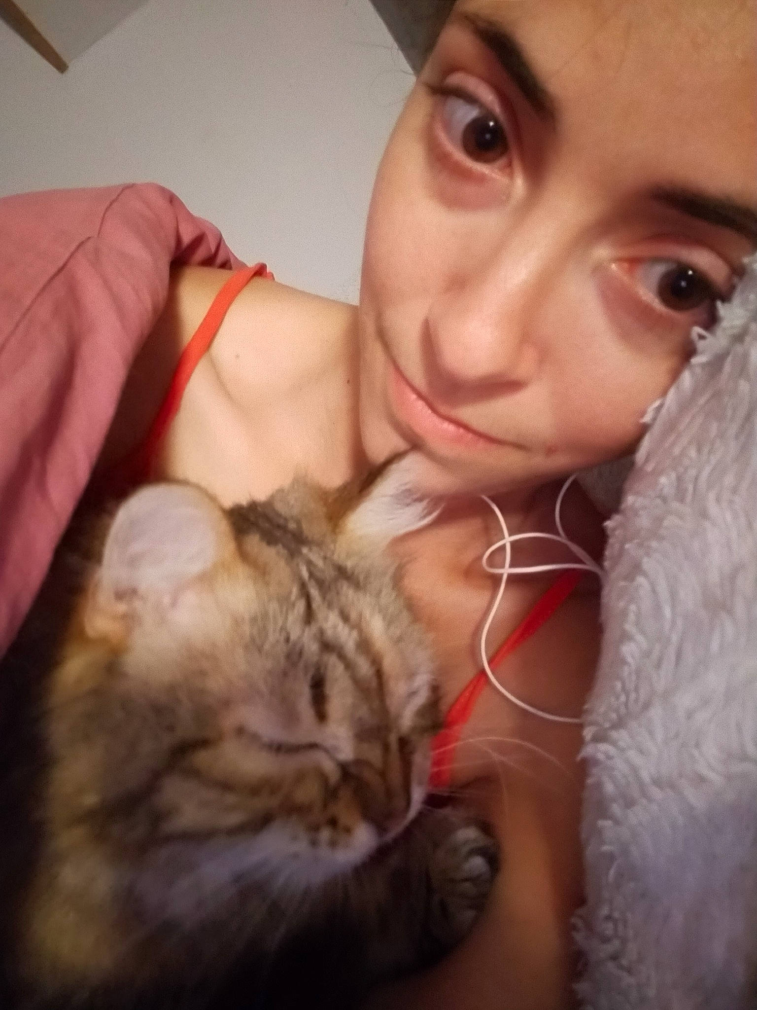 Callie participe au concours pour gagner de l'argent avec cette photo : carnivore, cat, comfort, ear, eye, eyebrow, eyelash, felidae, gesture, hair, hairstyle, happy, iris, lip, mammal, nose, organ, skin, textile, vertebrate