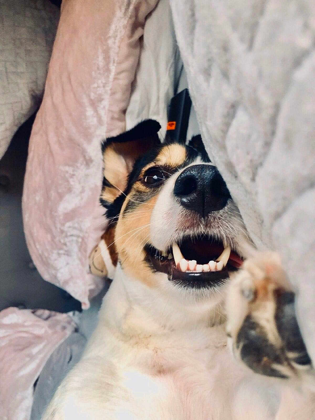 Mia