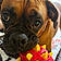 Baxter