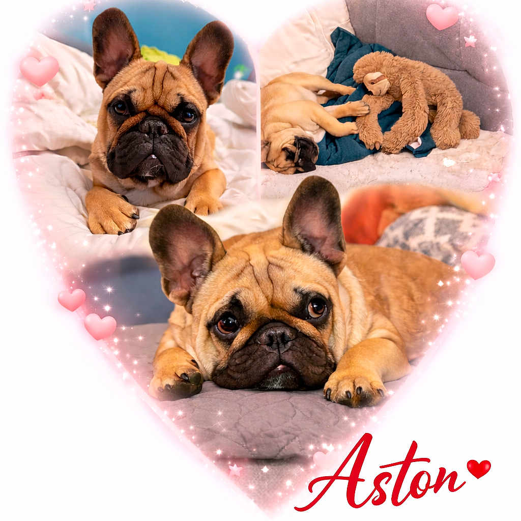 Aston