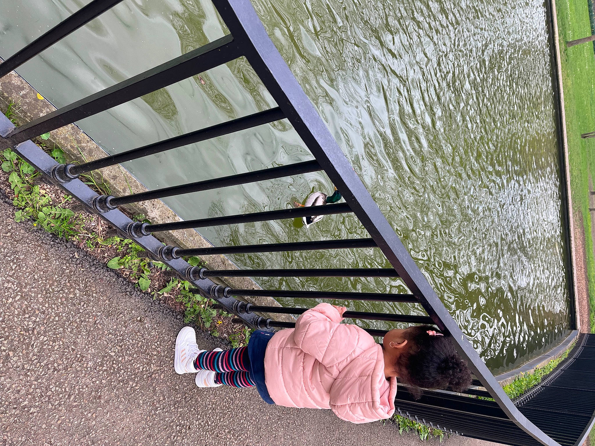 Arya a rejoint le concours — aidez-le/la à gagner de superbes lots ! daylighting, facade, glass, grass, handrail, human_leg, lake, leisure, pattern, people_in_nature, person, plant, roof, shade, shadow, stairs, symmetry, tints_and_shades, toddler, water