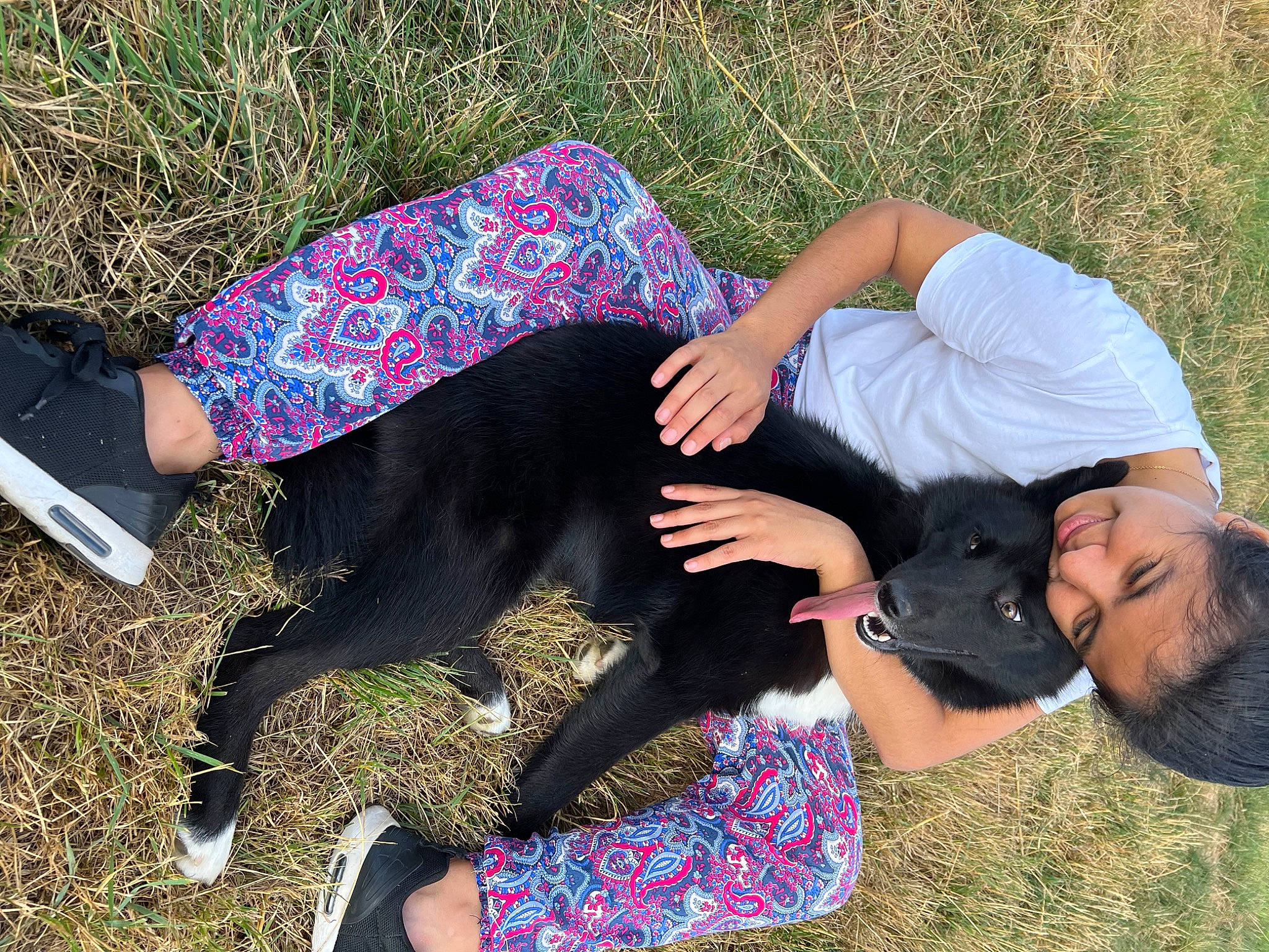 Lotus participe au concours pour gagner de l'argent avec cette photo : carnivore, companion_dog, dog_breed, eyewear, fun, grass, grass_family, happy, human_leg, joint, knee, lap, lawn, leg, leisure, people_in_nature, shoe, sitting, t_shirt, thigh