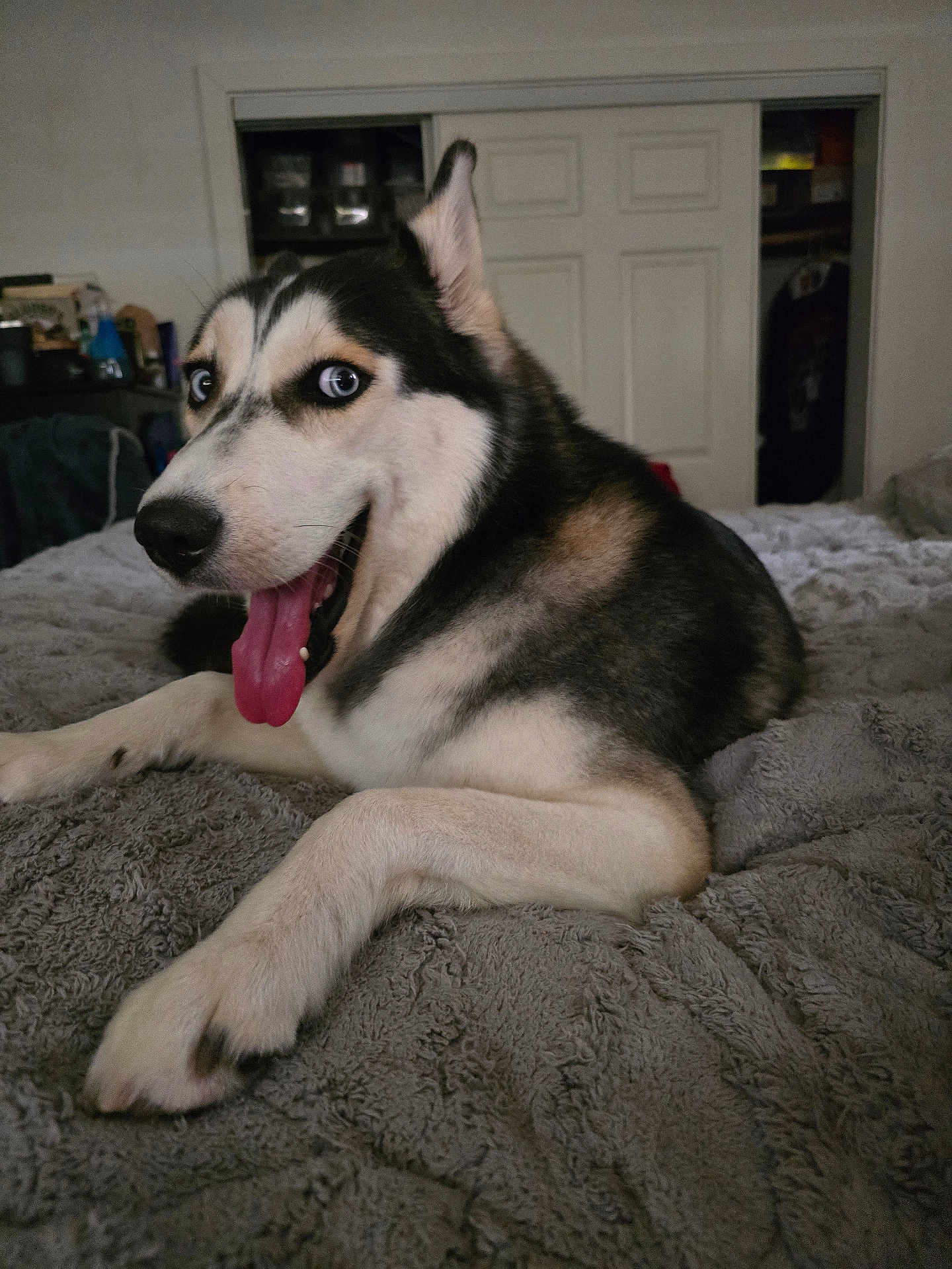 Kbella