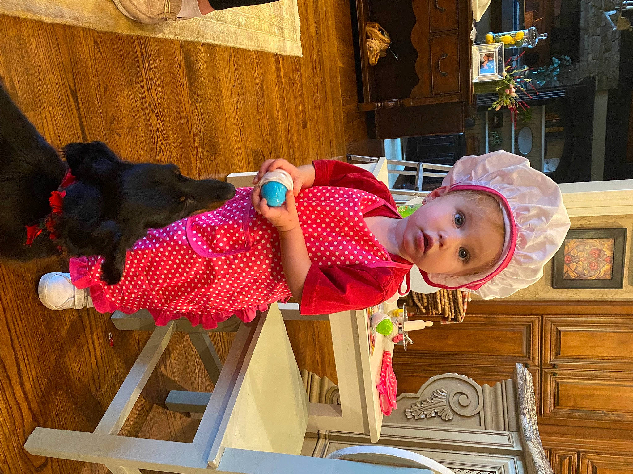 Taylinn Marlin joined the competition — help win amazing prizes! baby, baby_products, baby_toddler_clothing, child, comfort, companion_dog, dress, fun, hardwood, hat, headwear, magenta, pattern, person, pink, plant, room, smile, surprise, textile