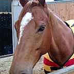 Captain bradz is registered to the contest to win money with this photo: