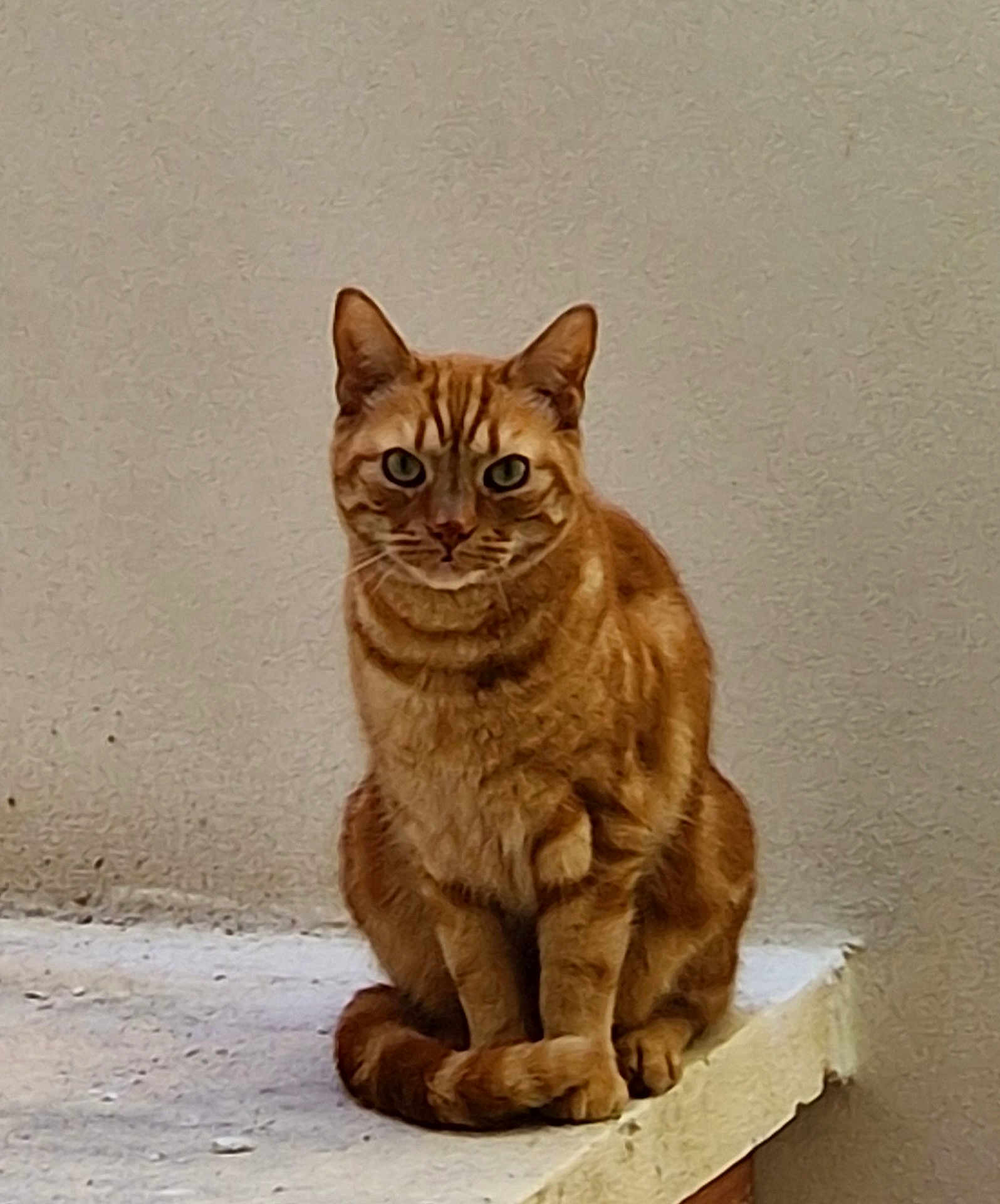 Micky