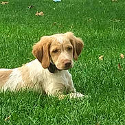 Lana a rejoint le concours — aidez-le/la à gagner de superbes lots !