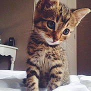 Jee participe au concours pour gagner de l'argent avec cette photo :