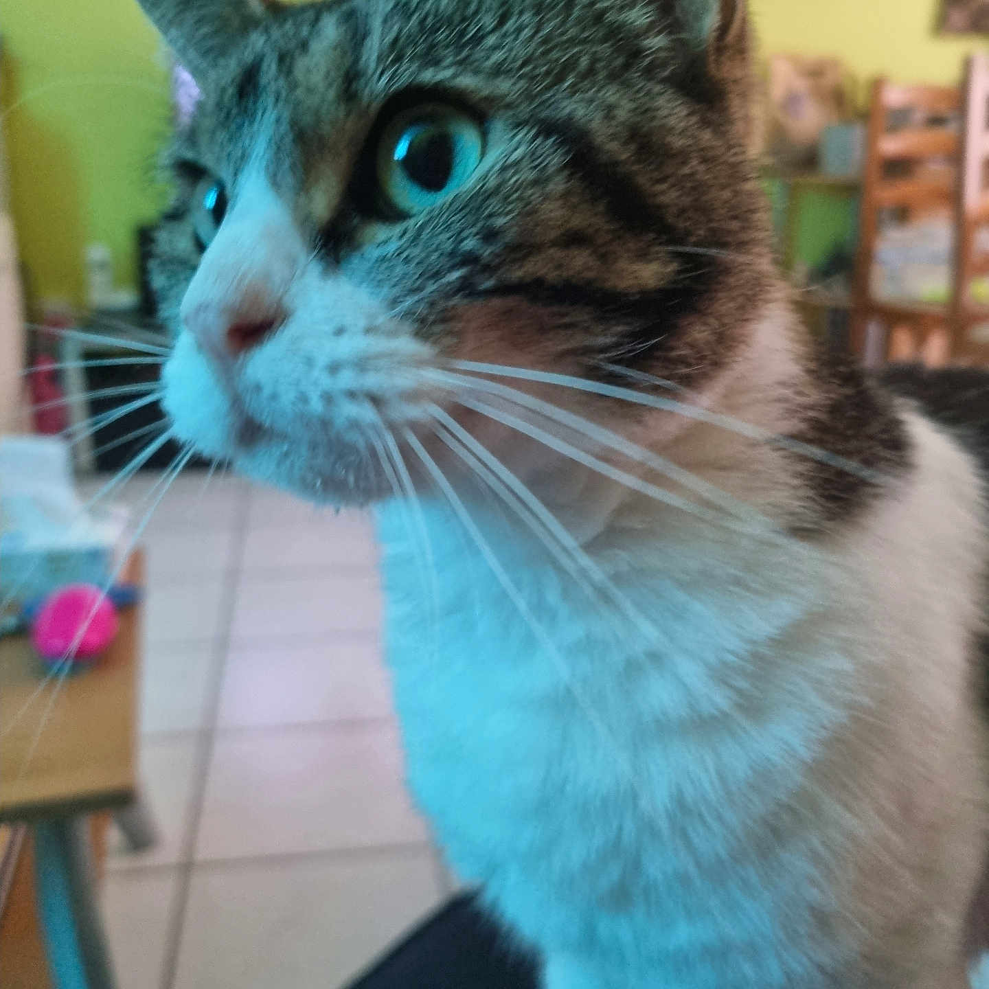 Luna