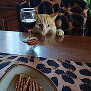 Minunia participe au concours pour gagner de l'argent avec cette photo : cat, wine_glass, pretzels, breadsticks, plate, table, chair, kitchen, leopard_print, tablecloth, curious, wooden_furniture, window, curtains, sink, bottle, food, snack, indoor, pet