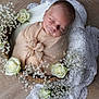 newborn, baby, sleeping, swaddled, basket, white_roses, flowers, lace, doily, wooden_floor, peaceful, portrait, infant, soft_wrap, delicate, floral_arrangement, indoor, closeup, cute, resting