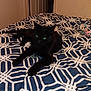 animal, bed, black_cat, blanket, blue_blanket, cat, cozy, domestic_animal, door, feline, furniture, geometric_pattern, green_eyes, indoor, pet, relaxed, resting, room, sleepy, towel