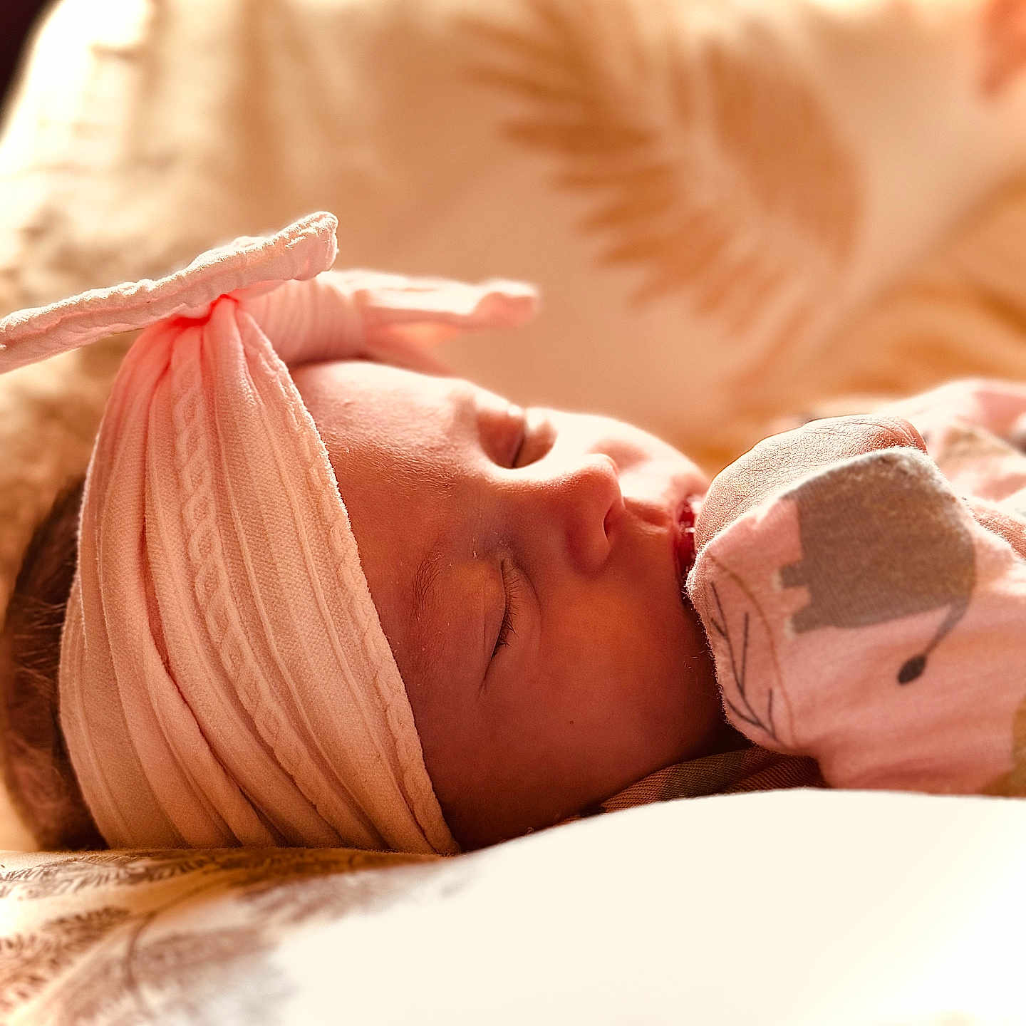 Ava is registered to the contest to win money with this photo: animal, baby, bed, blanket, bodypart, cat, clothing, face, finger, furniture, hand, hat, head, newborn, person, pet, photography, portrait, sleeping, towel
