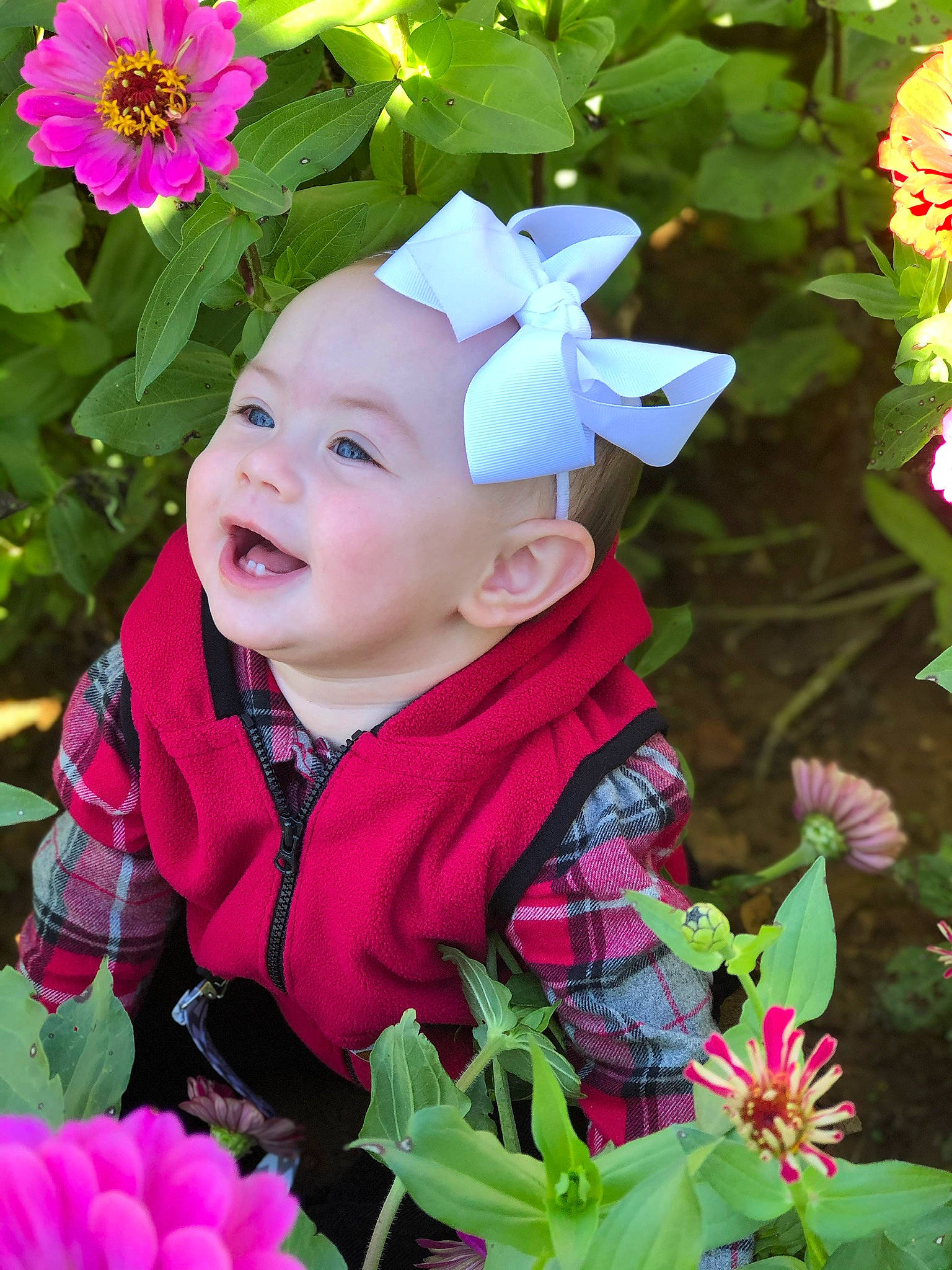 Anna Faye Murphy joined the competition — help win amazing prizes! baby, botany, child, flower, flowering_plant, hair_accessory, happy, headgear, perennial_plant, person, petal, photography, pink, plant, purple, smile, spring, toddler, wildflower
