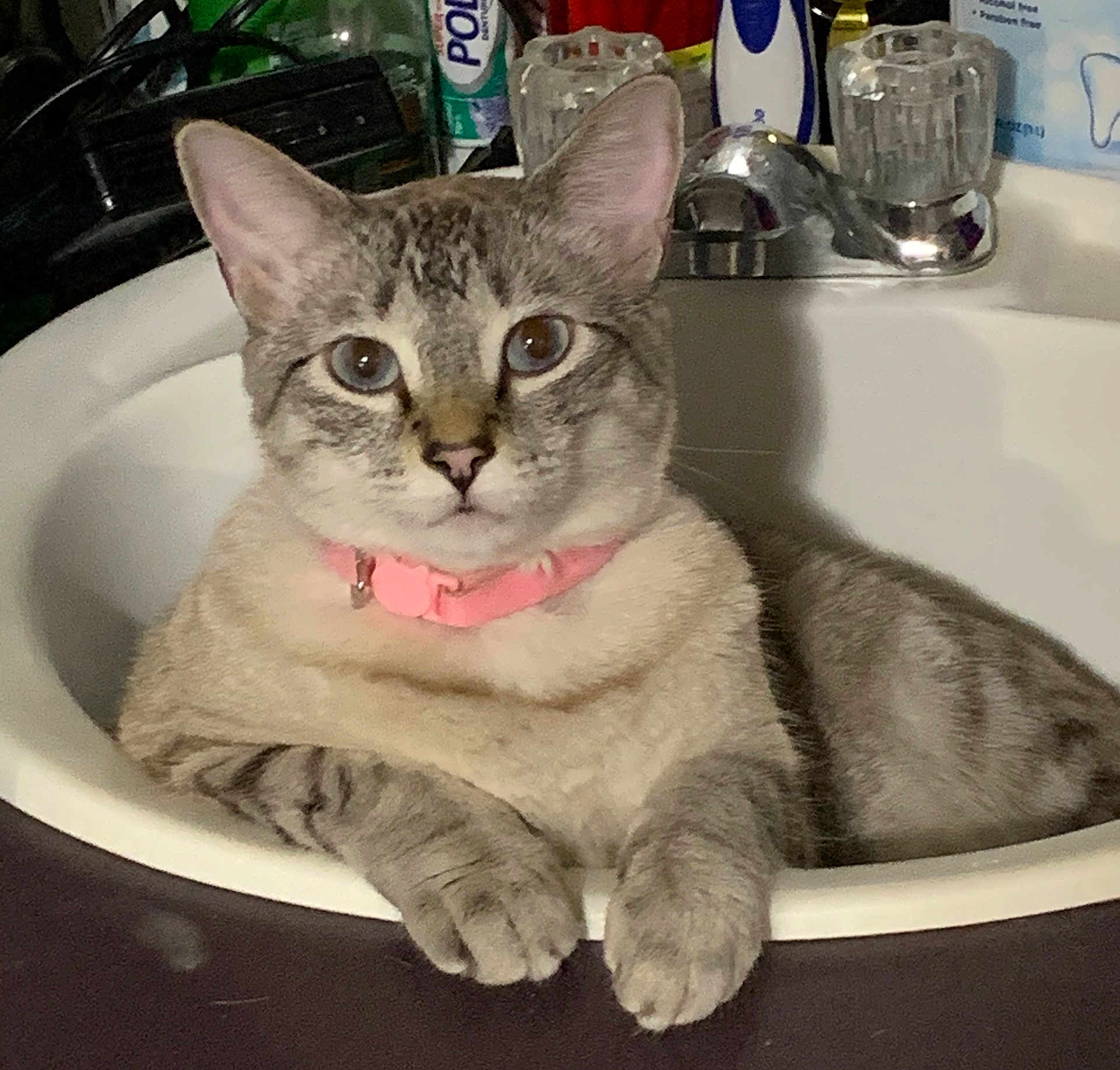 Caspian