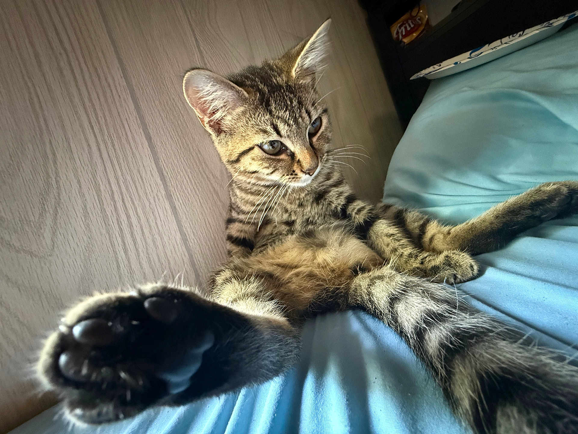 Ollie