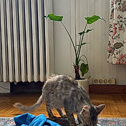 Passie a rejoint le concours — aidez-le/la à gagner de superbes lots !