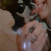 Lucky participe au concours pour gagner de l'argent avec cette photo : person, dog, glasses, hand, smile, indoor, face, pet, closeup, holding, black_dog, white_markings, canine, human, portrait, cute, friendly, animal, companionship, blurred