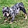 Capone