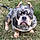 Capone