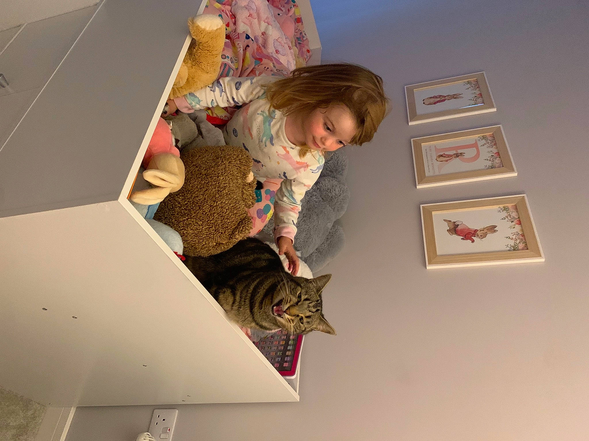 Elton is registered to the contest to win money with this photo: art, cat, ceiling, domestic_short_haired_cat, felidae, flooring, fun, illustration, leg, paper, paper_product, pattern, room, small_to_medium_sized_cats, stairs, toddler, tourist_attraction, visual_arts, whiskers, wood
