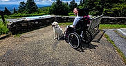 Mandie joined the competition — help win amazing prizes! person, dog, wheelchair, outdoor, cloudy_sky, trees, bench, stone_wall, paved_path, greenery, nature, happy_dog, companion, landscape, daylight, scenic, relaxation, wheelchair_user, leash, park