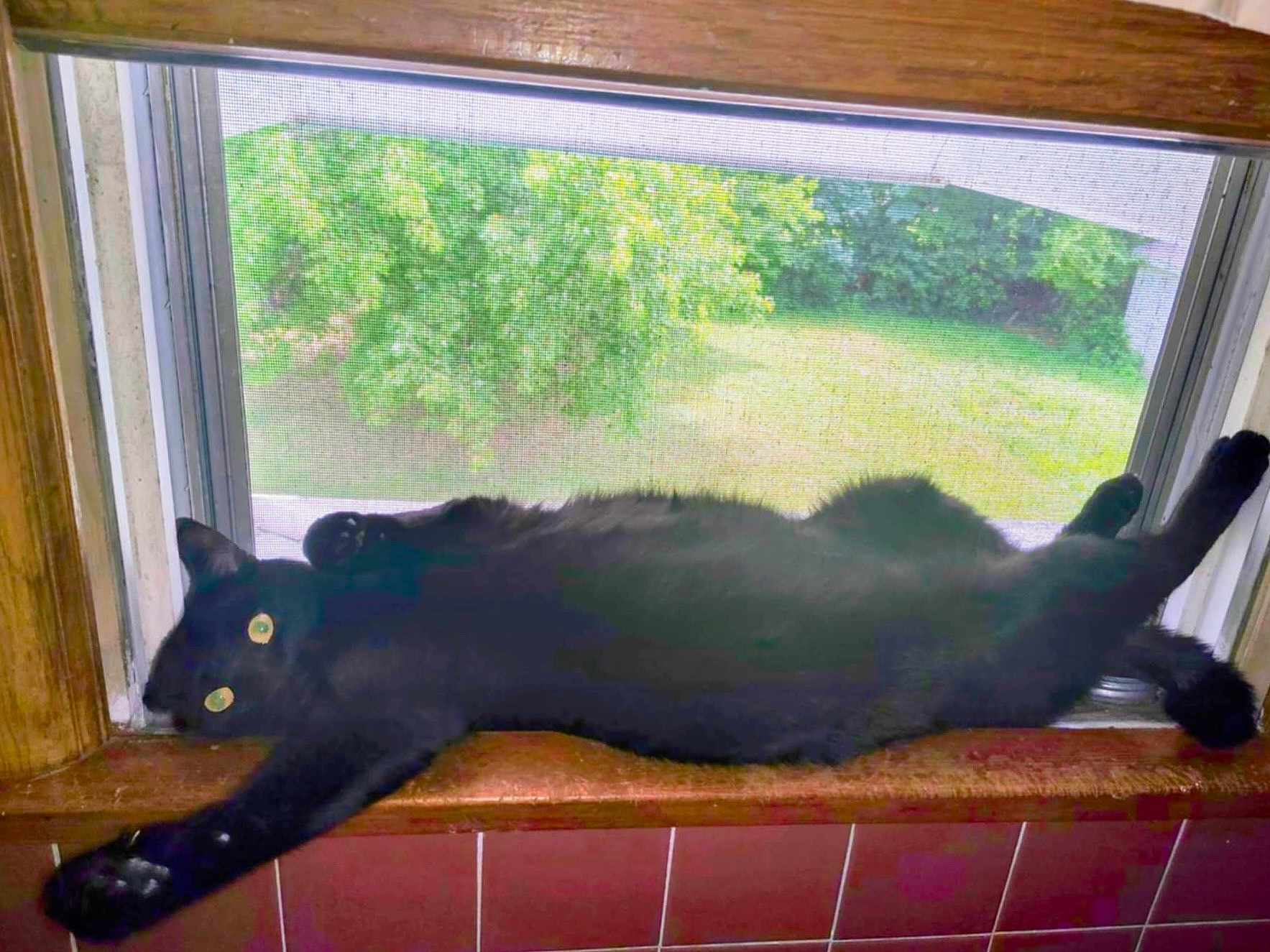 Mr. Void