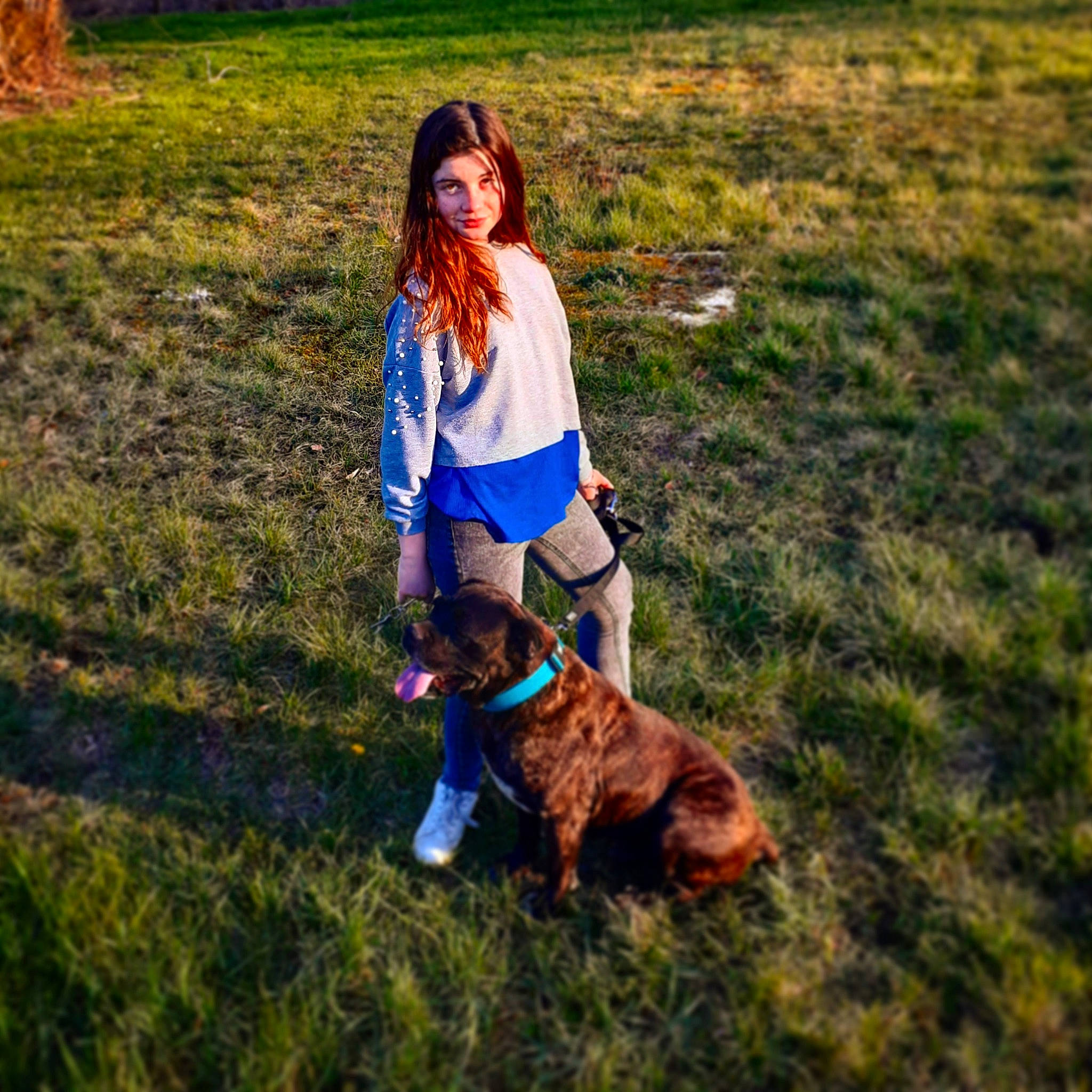 Hades a rejoint le concours — aidez-le/la à gagner de superbes lots ! boot, carnivore, companion_dog, dog, dog_breed, electric_blue, face, fawn, grass, grassland, happy, knee, leash, leisure, people_in_nature, recreation, shoe, soil, sporting_group, sunlight