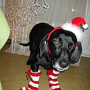 Scott participe au concours pour gagner de l'argent avec cette photo :