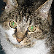 PLOUC participe au concours pour gagner de l'argent avec cette photo :