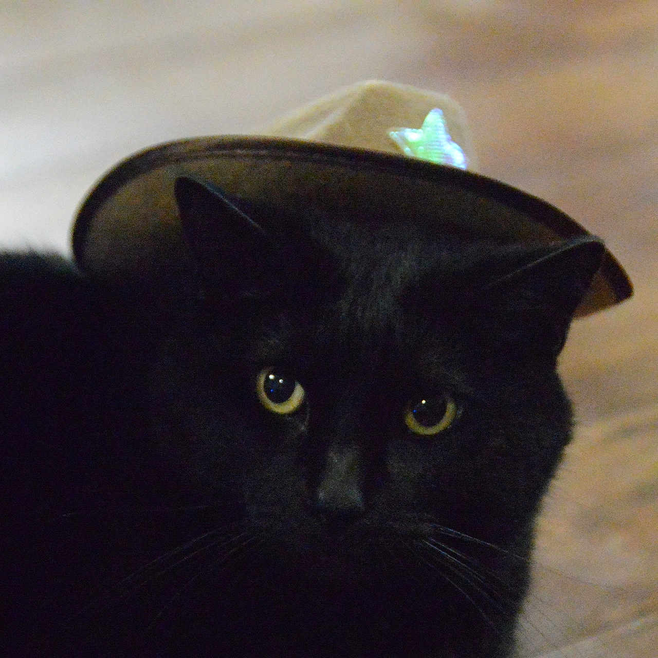 Officer Butters