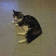 Nalloa participe au concours pour gagner de l'argent avec cette photo :