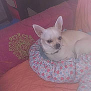 Jilly participe au concours pour gagner de l'argent avec cette photo :