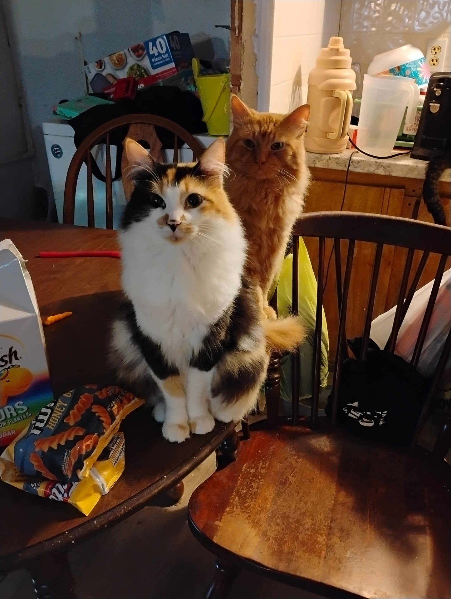 Nala