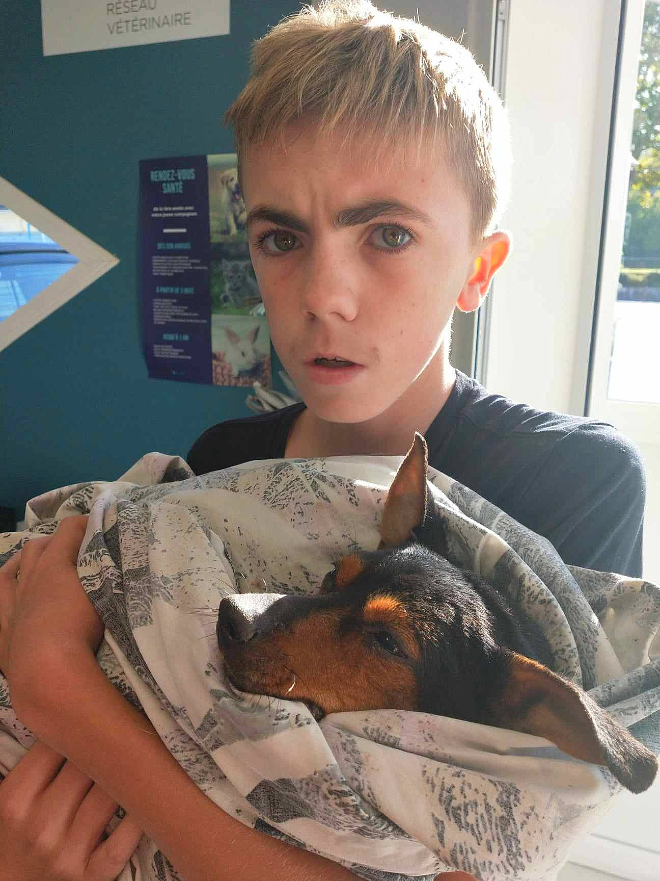 Rita participe au concours pour gagner de l'argent avec cette photo : bangs, carnivore, cat, child, comfort, companion_dog, domestic_short_haired_cat, eyelash, eyewear, felidae, fur, hairstyle, lap, reading, room, sitting, small_to_medium_sized_cats, toy, whiskers, window