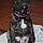 Rosco