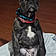 Rosco