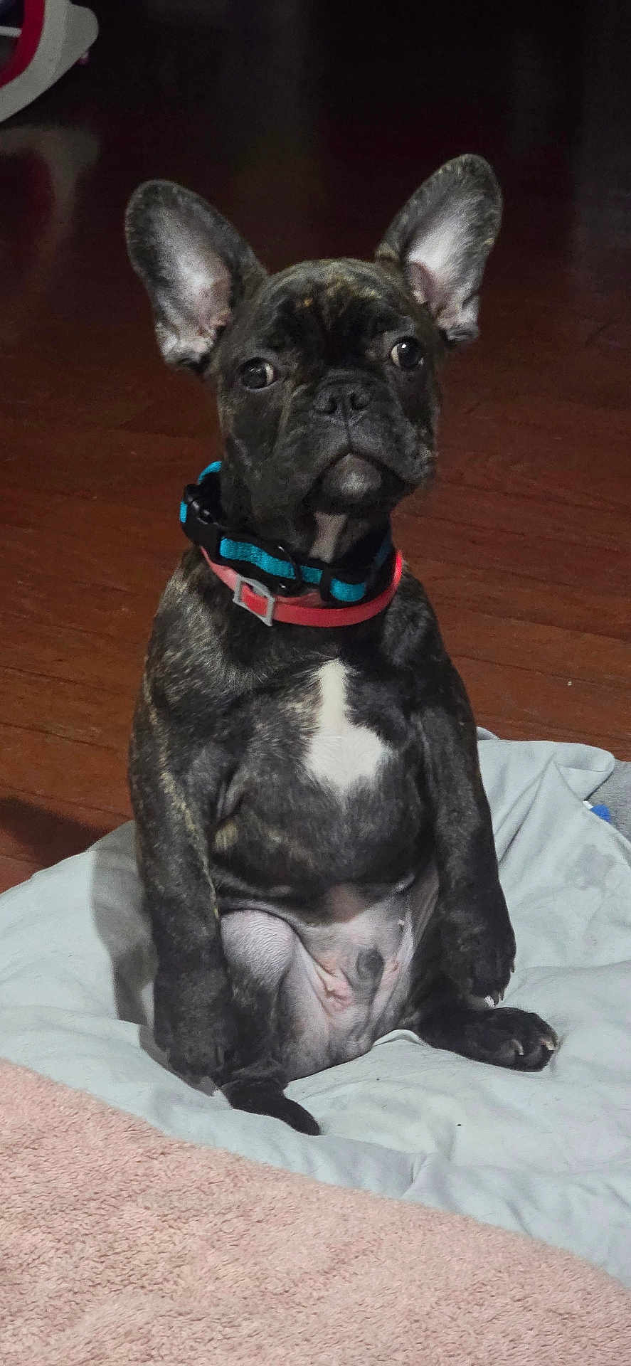 Rosco