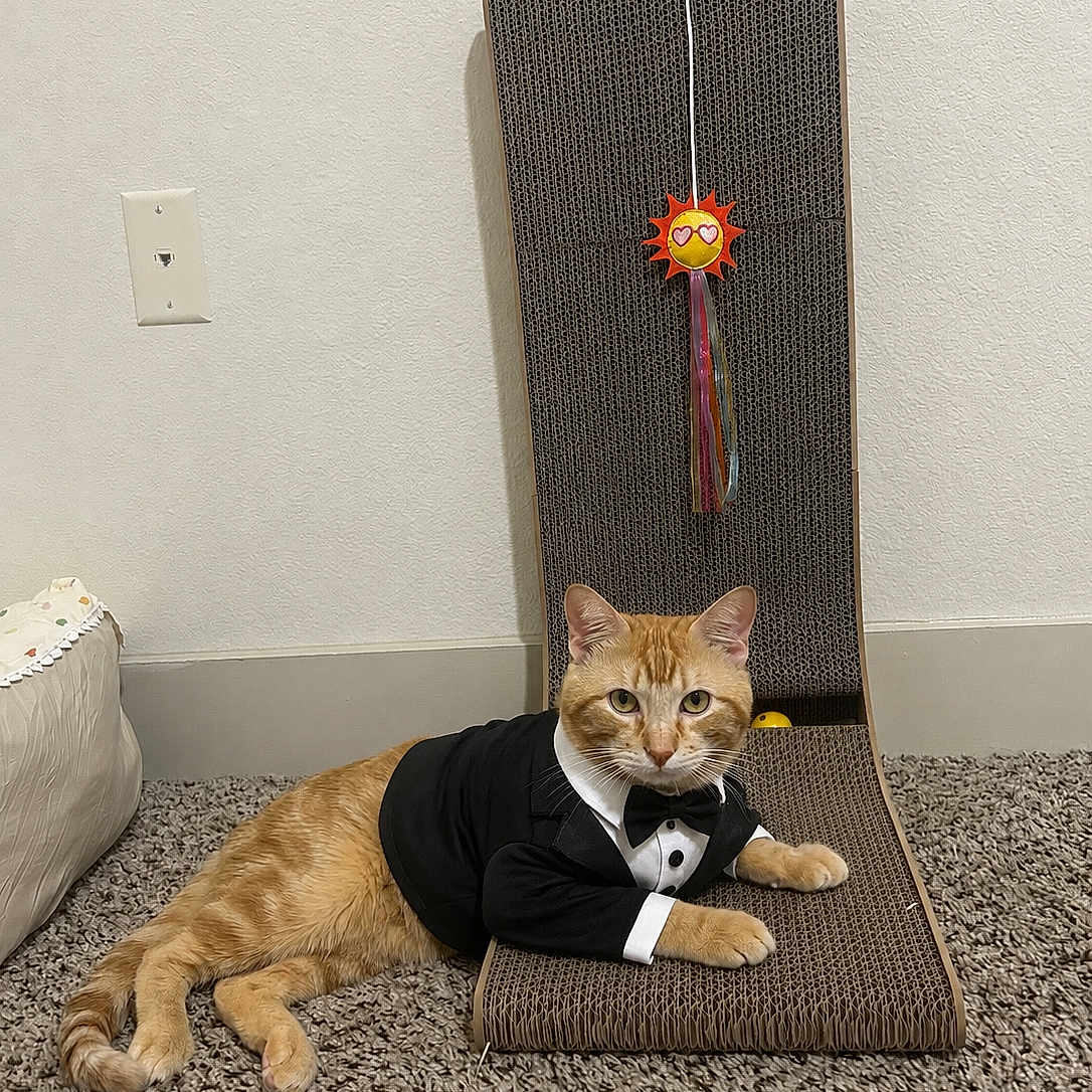 Gus