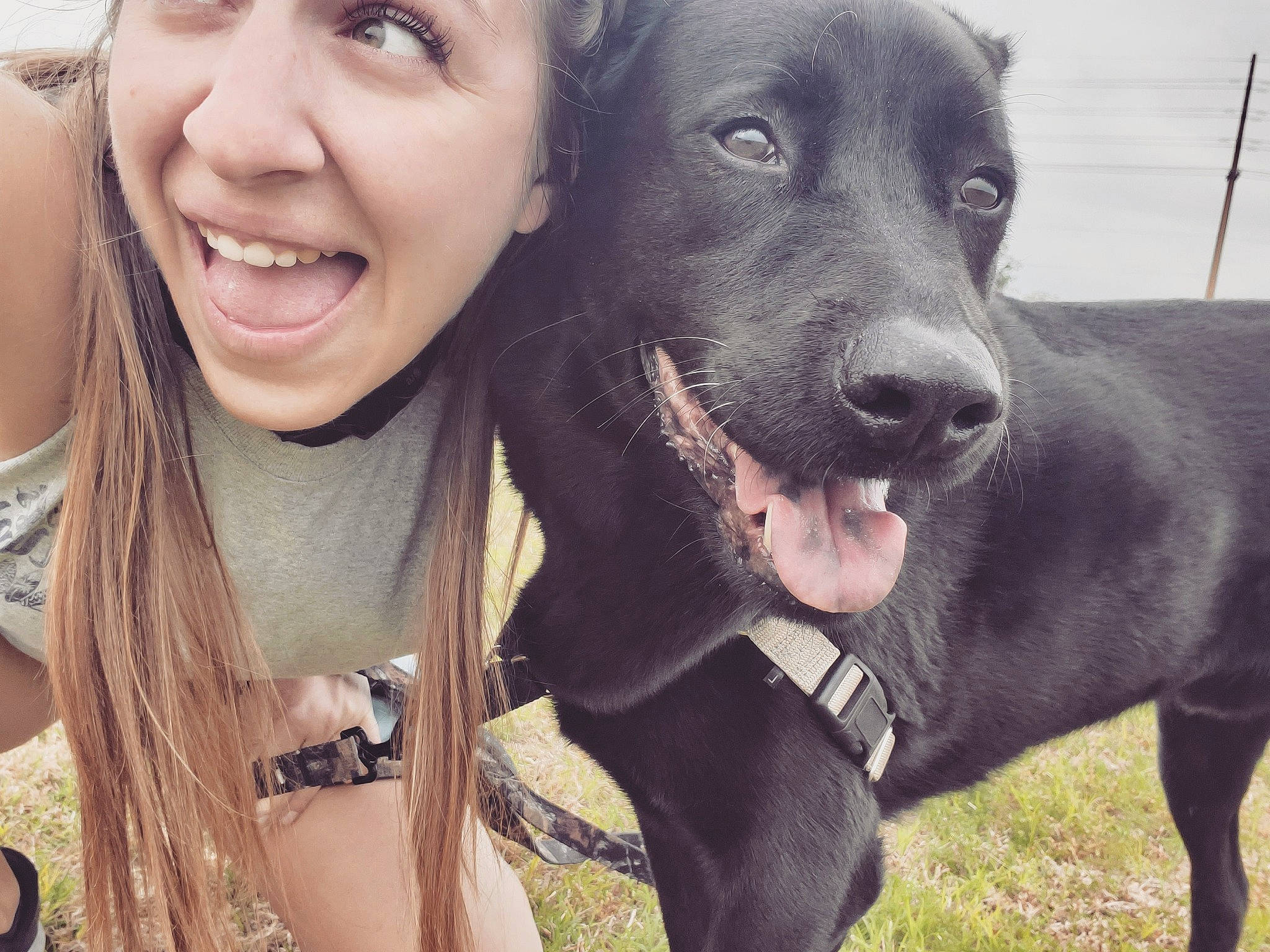 Poseidon is registered to the contest to win money with this photo: canidae, carnivore, dog, dog_breed, happy, head, joy, labrador_retriever, love, mammal, nose, patterdale_terrier, person, photography, puppy, selfie, smile, snout, sporting_group