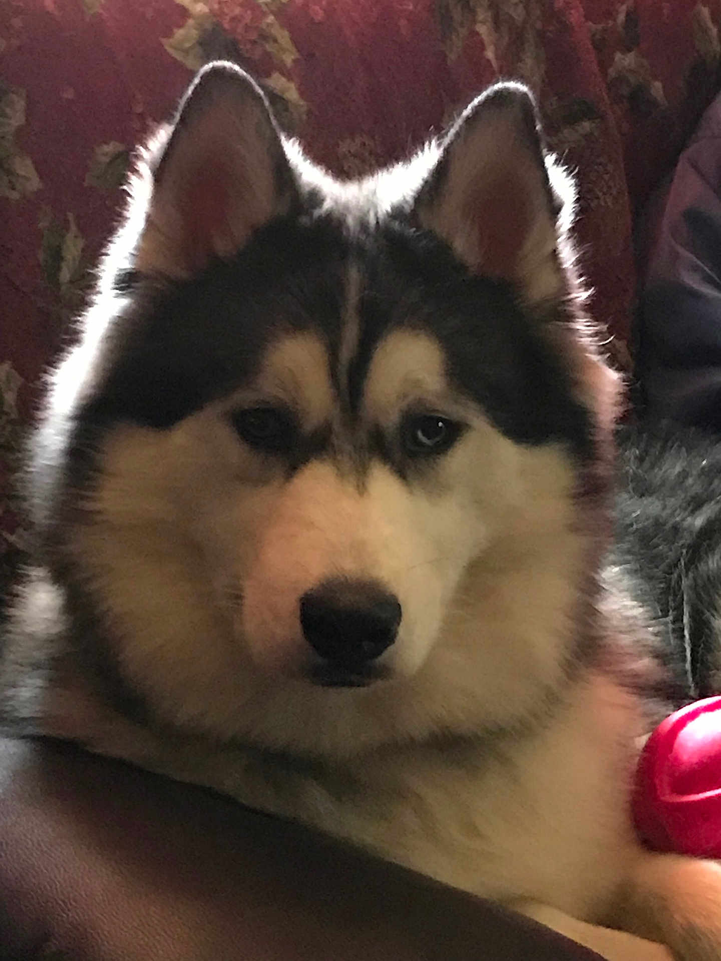 Timber
