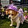 Susie