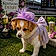 Susie