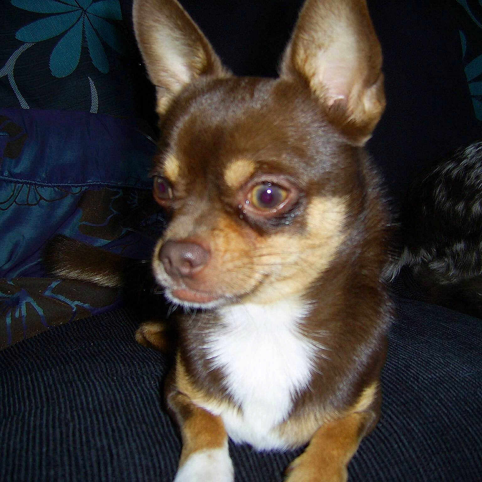Diesel joined the competition — help win amazing prizes!