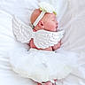 Nautica is registered to the contest to win money with this photo: newborn, baby, angel, wings, tutu, headband, flower, sleeping, white, soft, blanket, cute, infant, peaceful, portrait, costume, small, delicate, resting, adorable