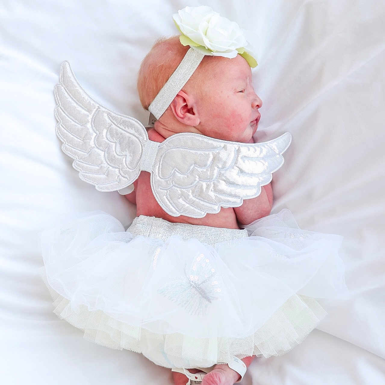 Nautica is registered to the contest to win money with this photo: newborn, baby, angel, wings, tutu, headband, flower, sleeping, white, soft, blanket, cute, infant, peaceful, portrait, costume, small, delicate, resting, adorable