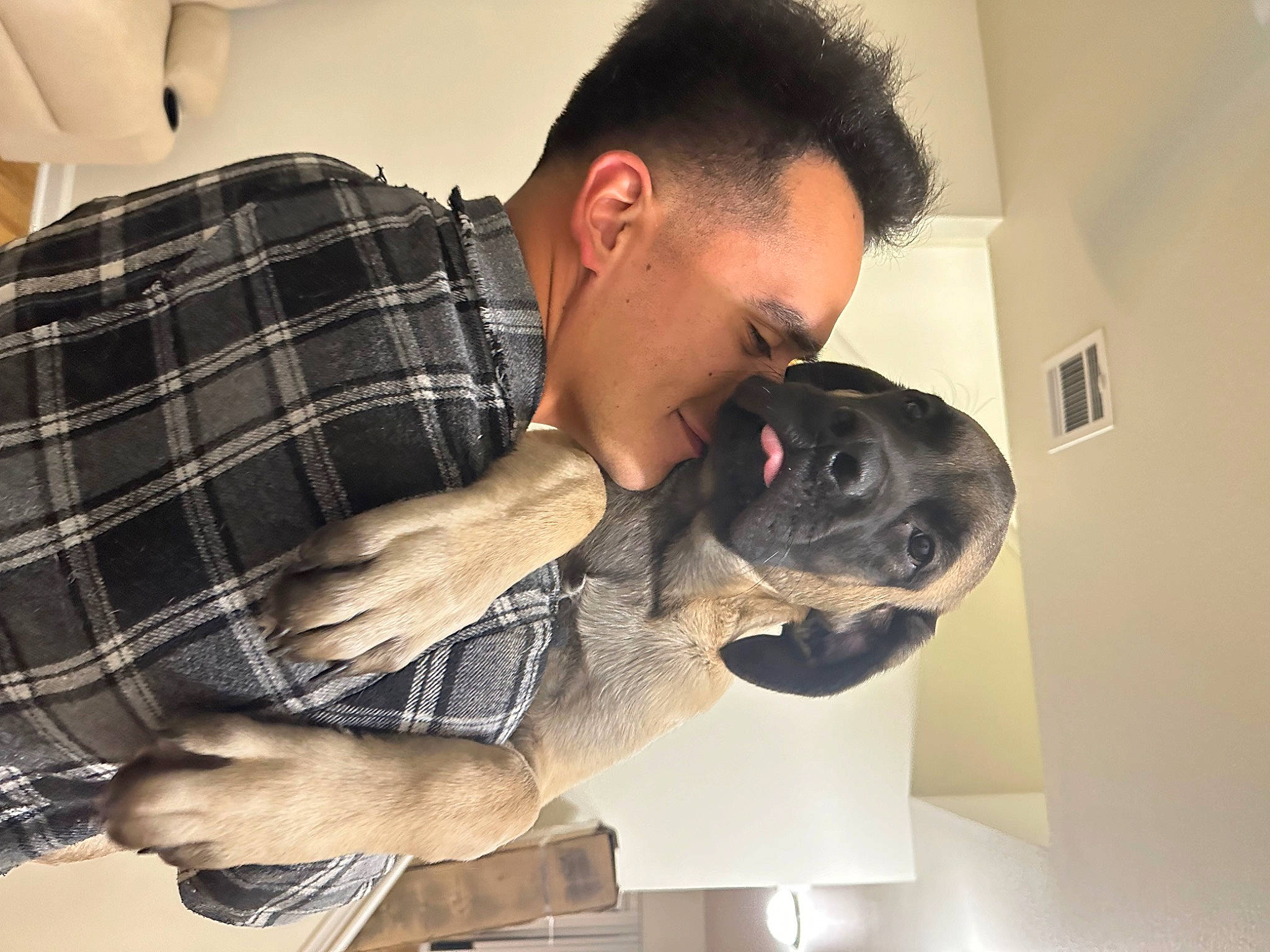 Helios joined the competition — help win amazing prizes! beard, canidae, carnivore, comfort, companion_dog, dog, dog_breed, dress_shirt, ear, elbow, eyewear, fur, jaw, pattern, plaid, room, selfie, snout, sporting_group, tartan