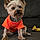 Dutchess